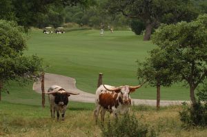 Canyon Springs Longhorns