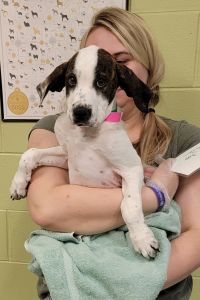 Dori's Love Train May 2022